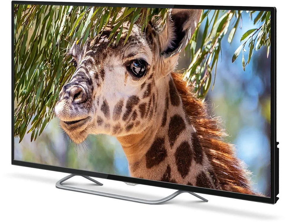 Телевизор LED PolarLine 55" 55PU11TC-SM черный 4K Ultra HD 60Hz DVB-T DVB-T2 DVB-C DVB-S2 USB WiFi Smart TV (RUS)