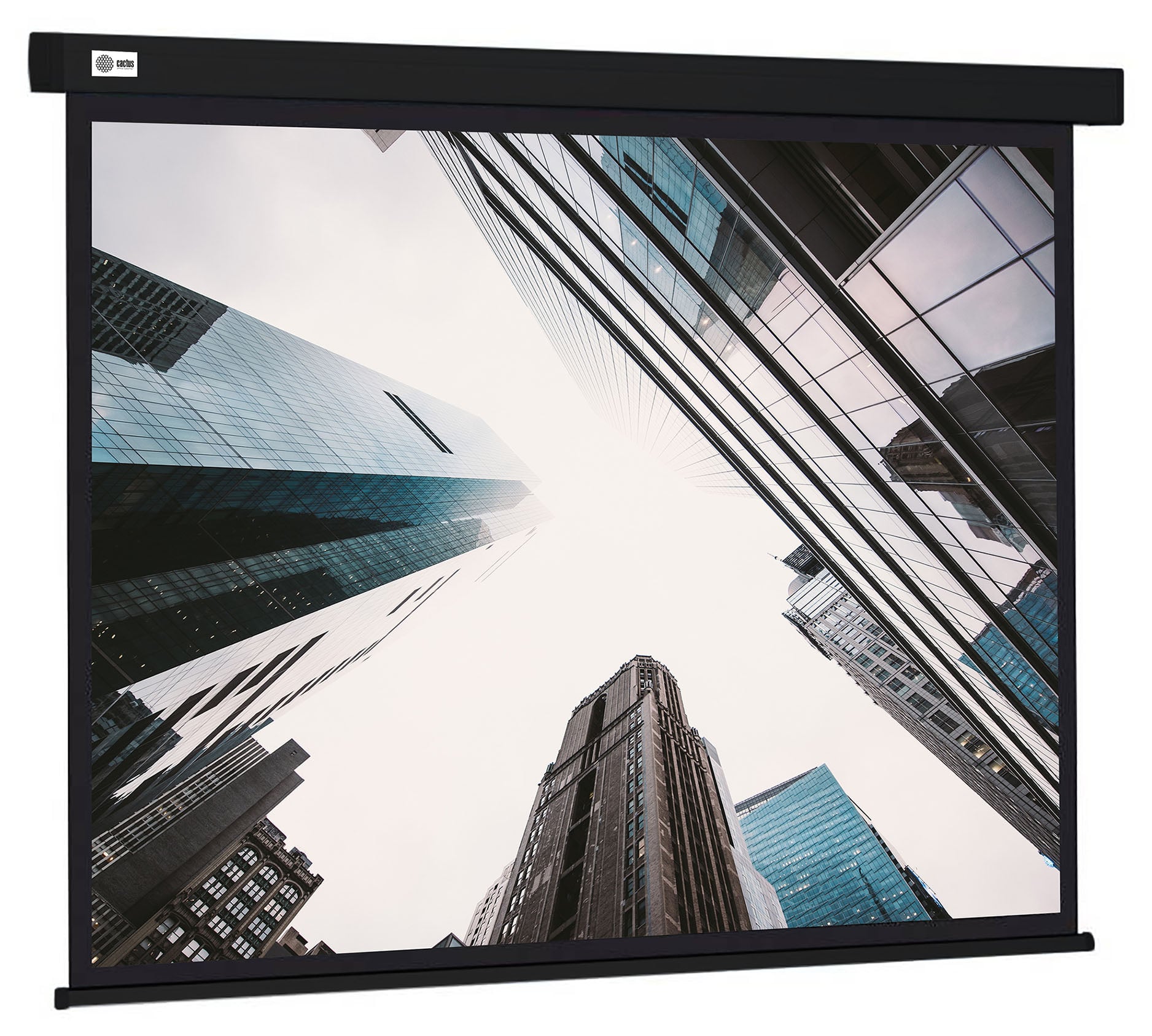<108385> Экран для проектора Cactus 124.5x221см Wallscreen CS-PSW-124X221-BK 16:9 настенно-потолочный рулонный черный [CS-PSW-124X221-BK]