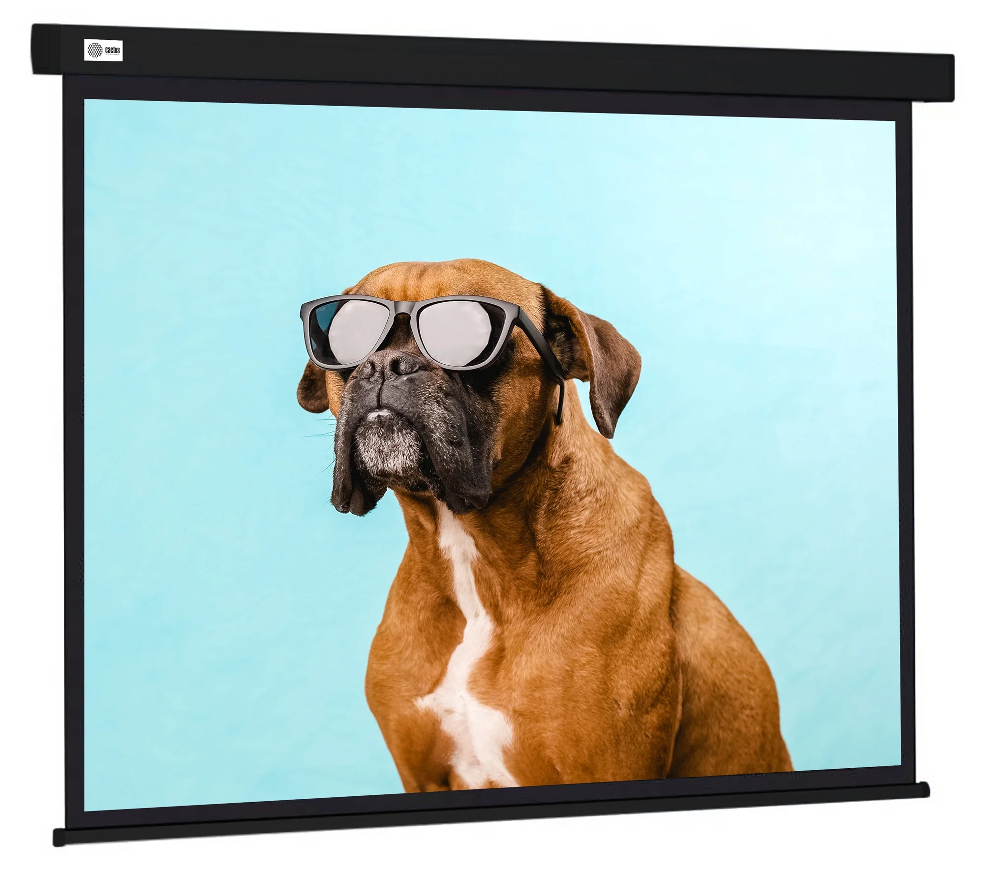 Экран Cactus 120" 183x244см Wallscreen CS-PSW-183X244-BK 4:3 настенно-потолочный рулонный черный