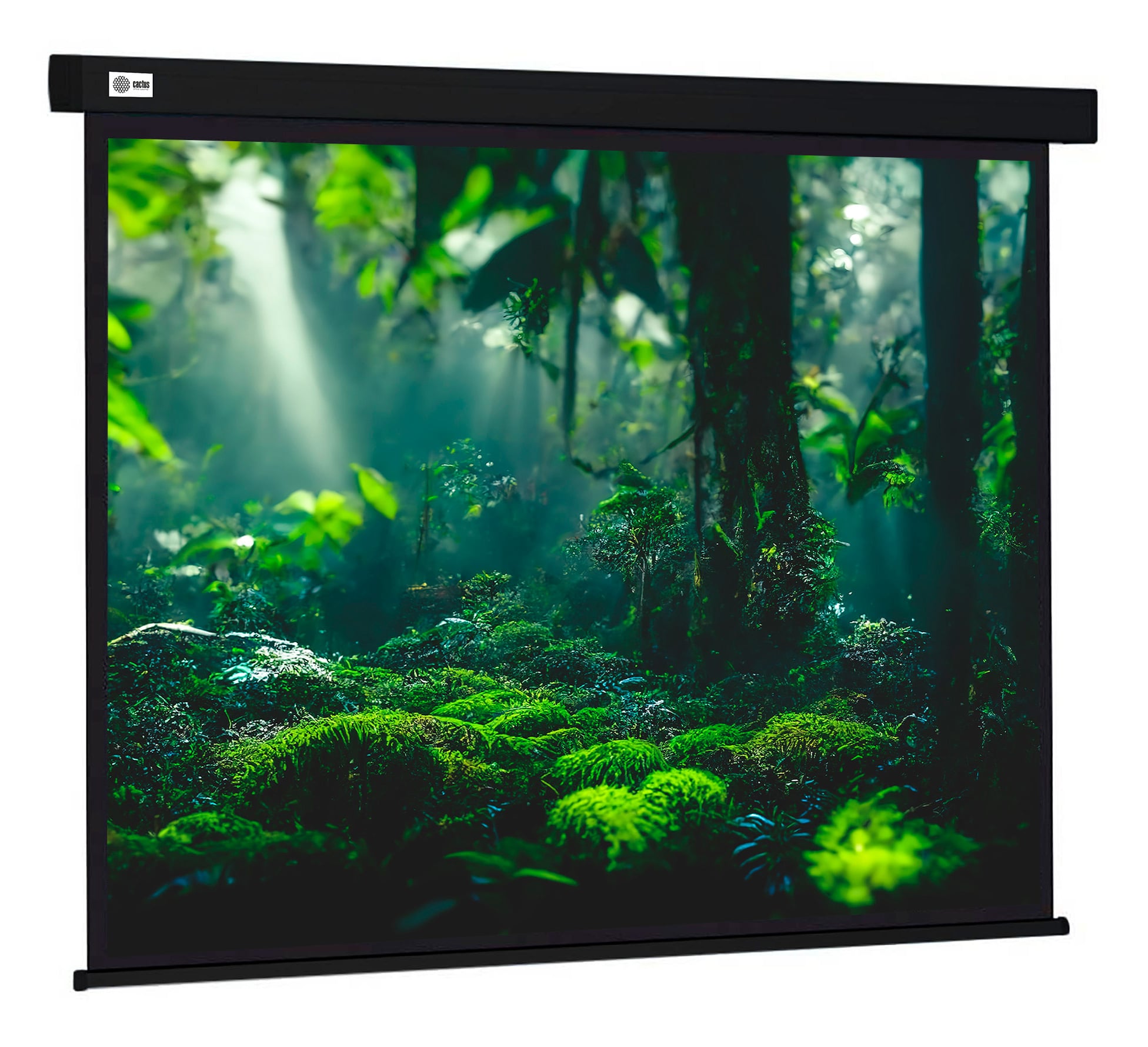 <108353> Экран для проектора Cactus 213x213см Wallscreen CS-PSW-213X213-BK 1:1 настенно-потолочный рулонный черный [CS-PSW-213X213-BK]