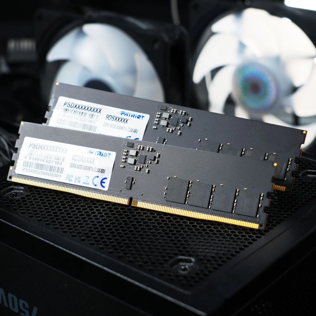 Память DDR5 32GB 6400MHz Patriot PSD532G6402C Signature RTL PC5-51200 CL52 DIMM 288-pin 1.1В dual  rank  Ret