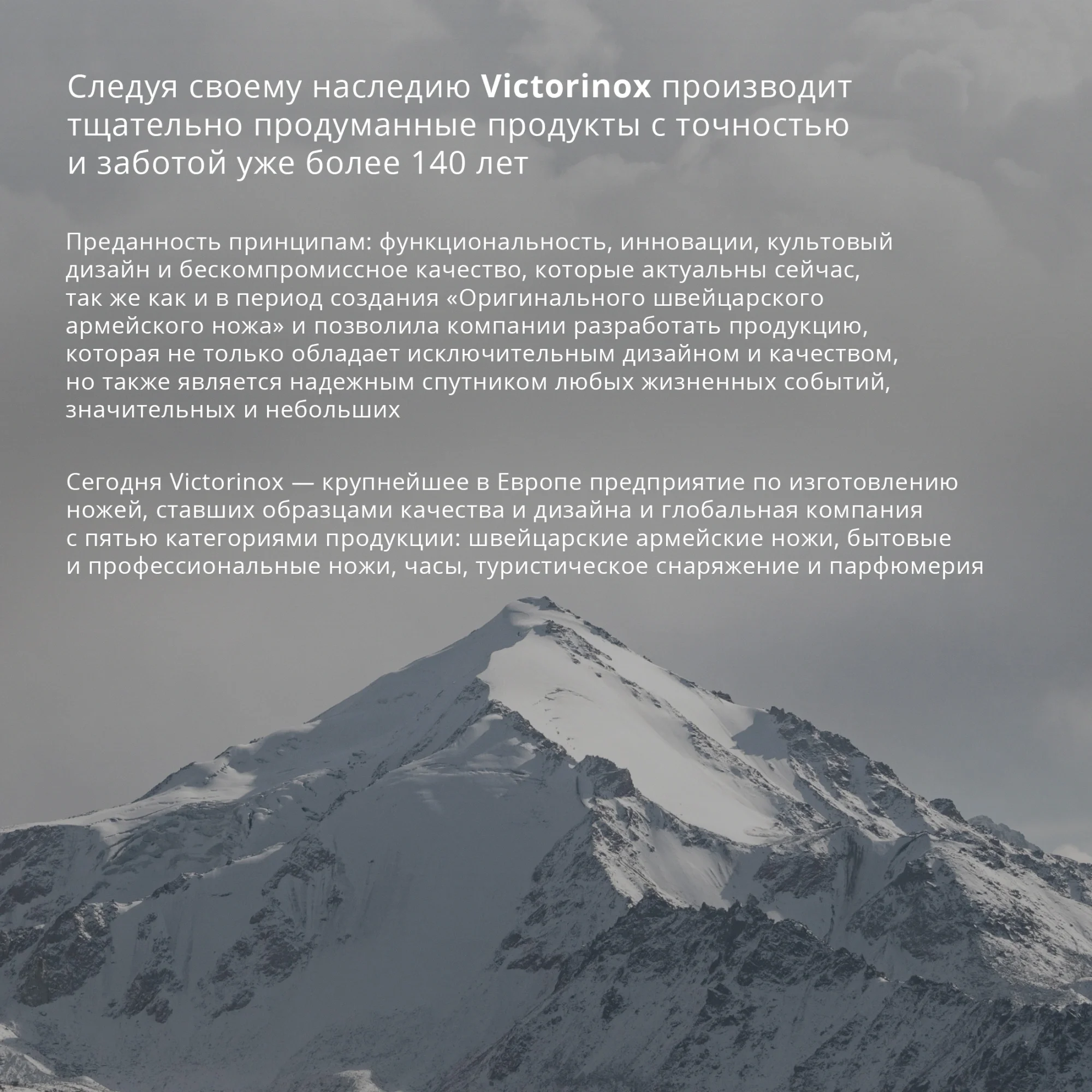 Карабин для ключей Victorinox 4.1835 серебристый
