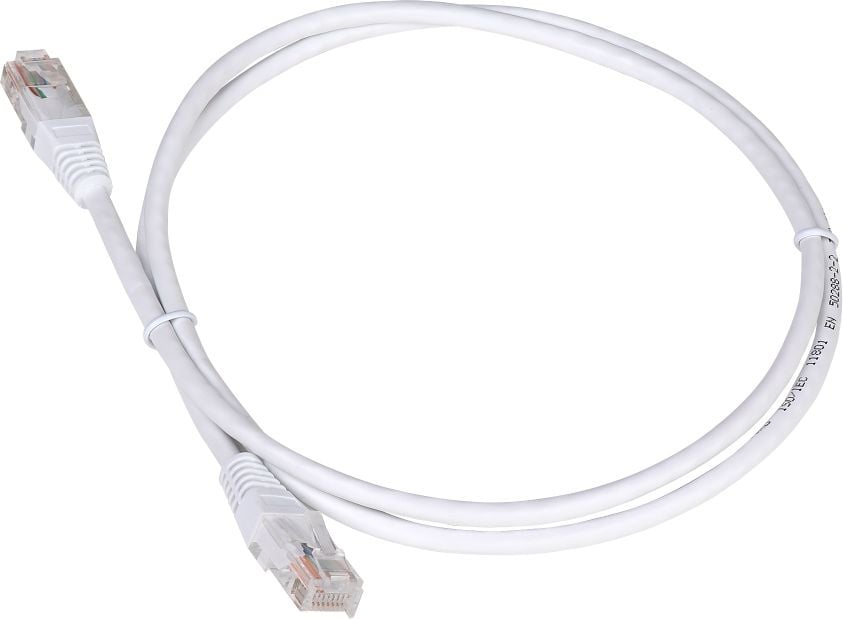 Патч-корд LANMASTER - TWT, UTP, кат. 5e, 2 x RJ-45, RJ-45 - RJ-45, ПВХ, белый, 10 м, с заливными колпачками, TWT-45-45-10-WH