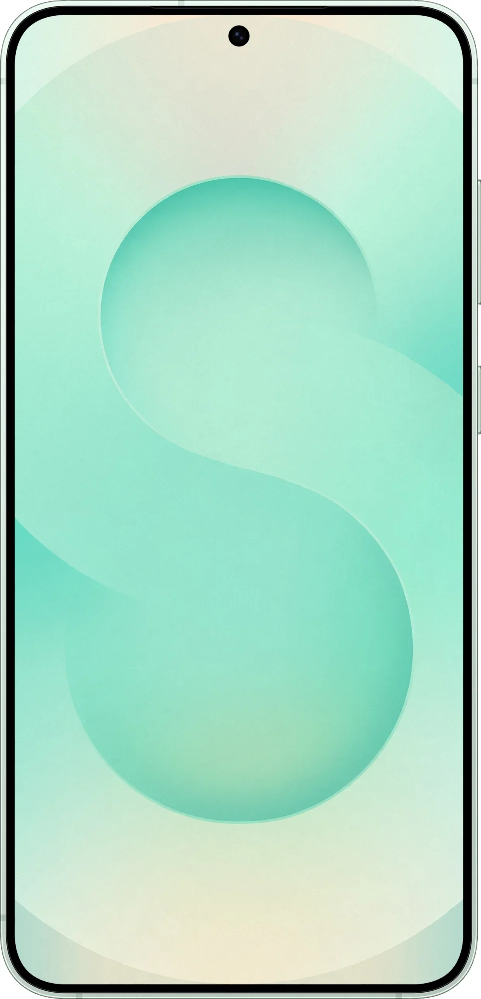 Смартфон Samsung SM-S936B Galaxy S25+ 512Gb 12Gb мятный моноблок 3G 4G 2Sim 6.7" 1440x3120 Android 15 50Mpix 802.11 a/b/g/n/ac/ax/be NFC GPS GSM900/1800 GSM1900 TouchSc Protect