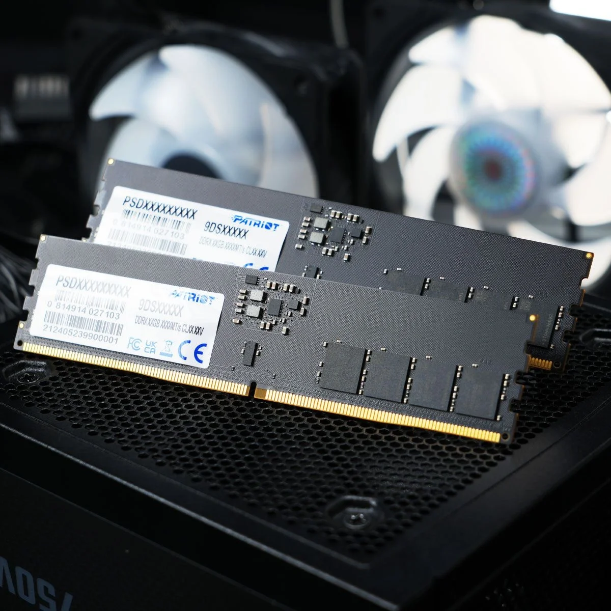 Память DDR5 16GB 6400MHz Patriot PSD516G64081C Signature RTL PC5-51200 CL52 DIMM 288-pin  1.1В  single  rank Ret