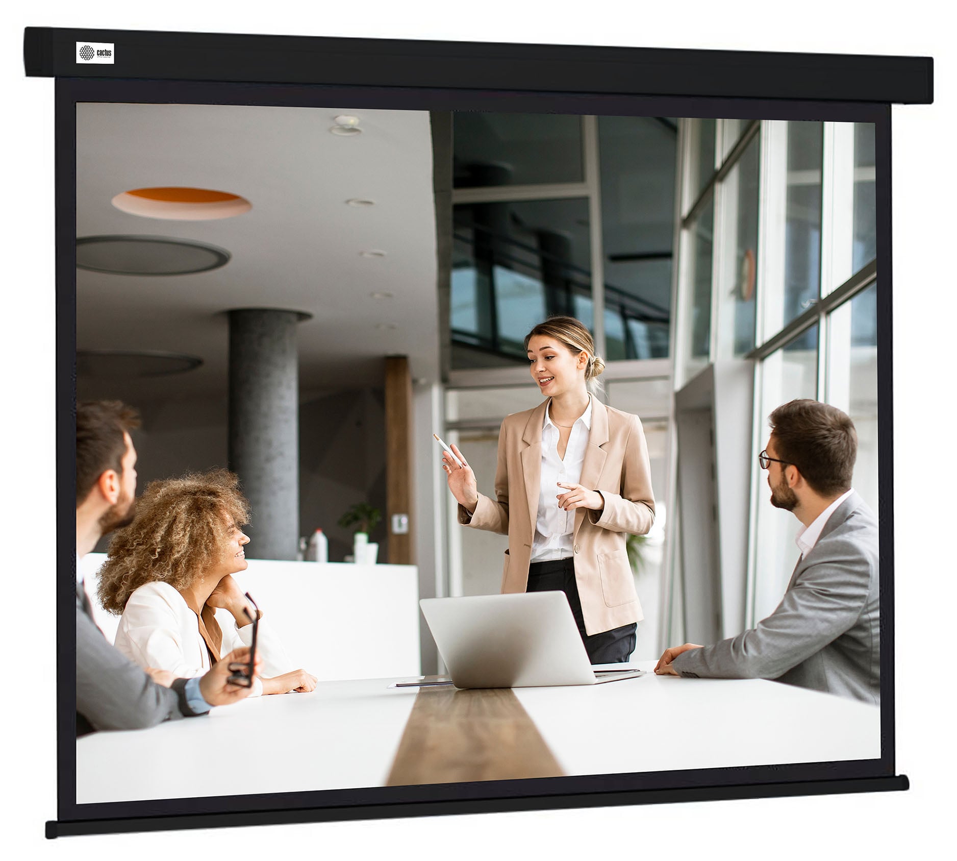 <108388> Экран для проектора Cactus 168x299см Wallscreen CS-PSW-168X299-BK 16:9 настенно-потолочный рулонный черный [CS-PSW-168X299-BK]