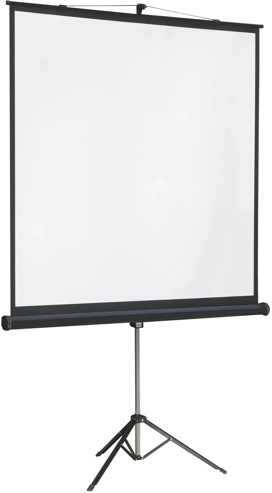 [LMV-100105] Экран на штативе Lumien [Master View] 244x244 см (131") Matte White FiberGlass черн. кайма по периметру, устойчивый штатив 1:1
