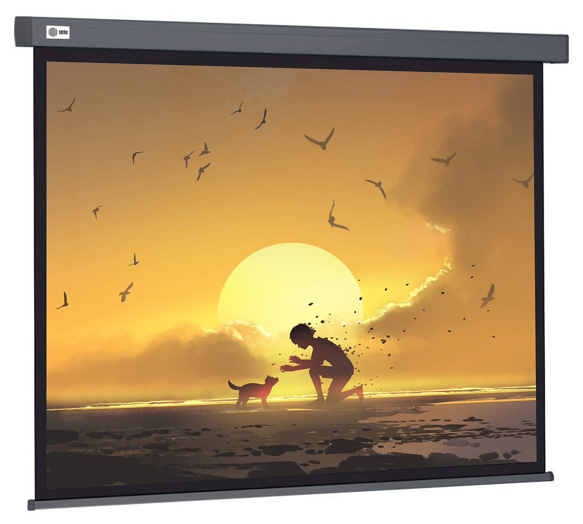 <108365> Экран для проектора Cactus 124.5x221см Wallscreen CS-PSW-124X221-SG 16:9 настенно-потолочный рулонный серый [CS-PSW-124X221-SG]