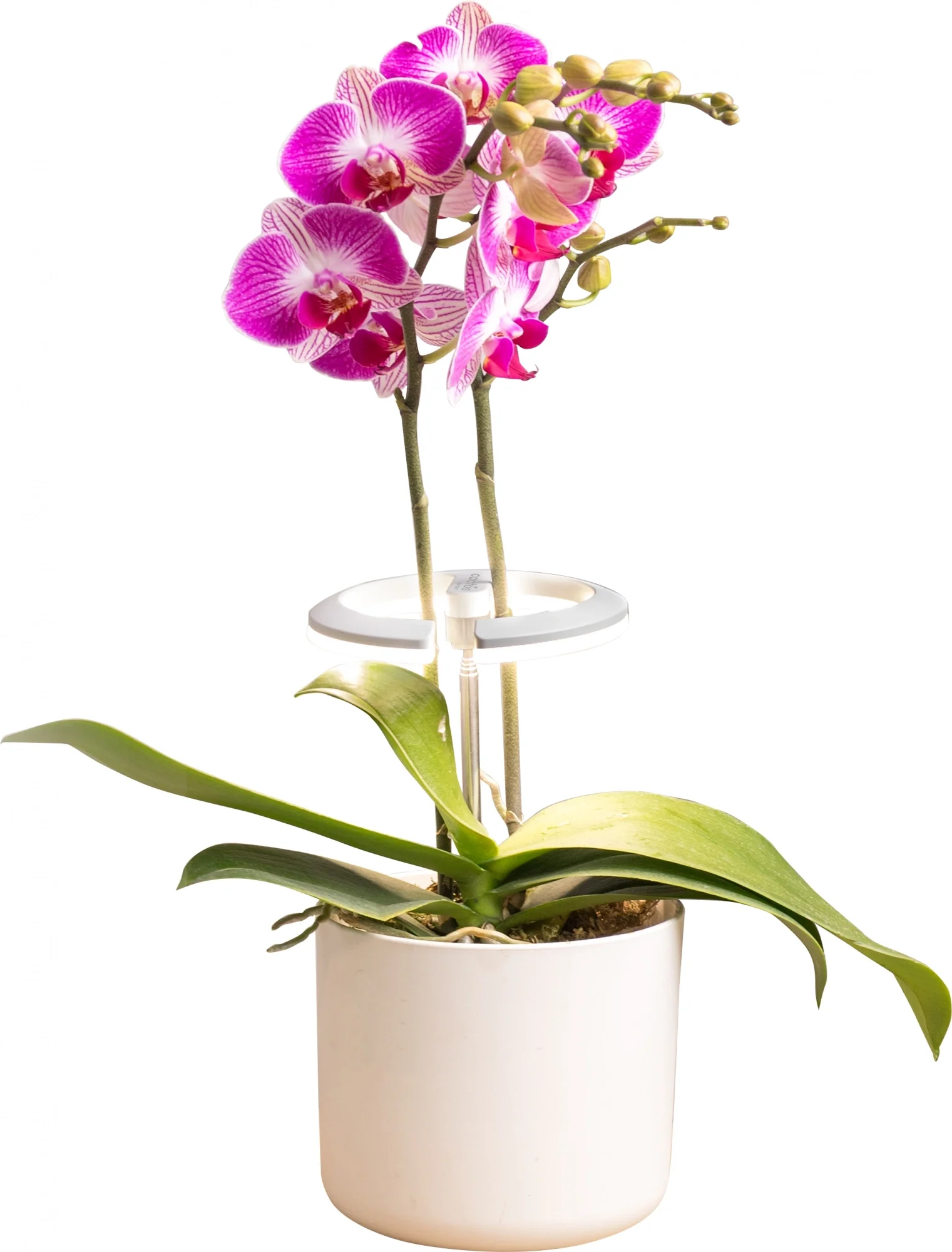 Светильник фито Cactus GARDEN светод.  7.5Вт цв.св.:белый (CS-LED-ORCHID)