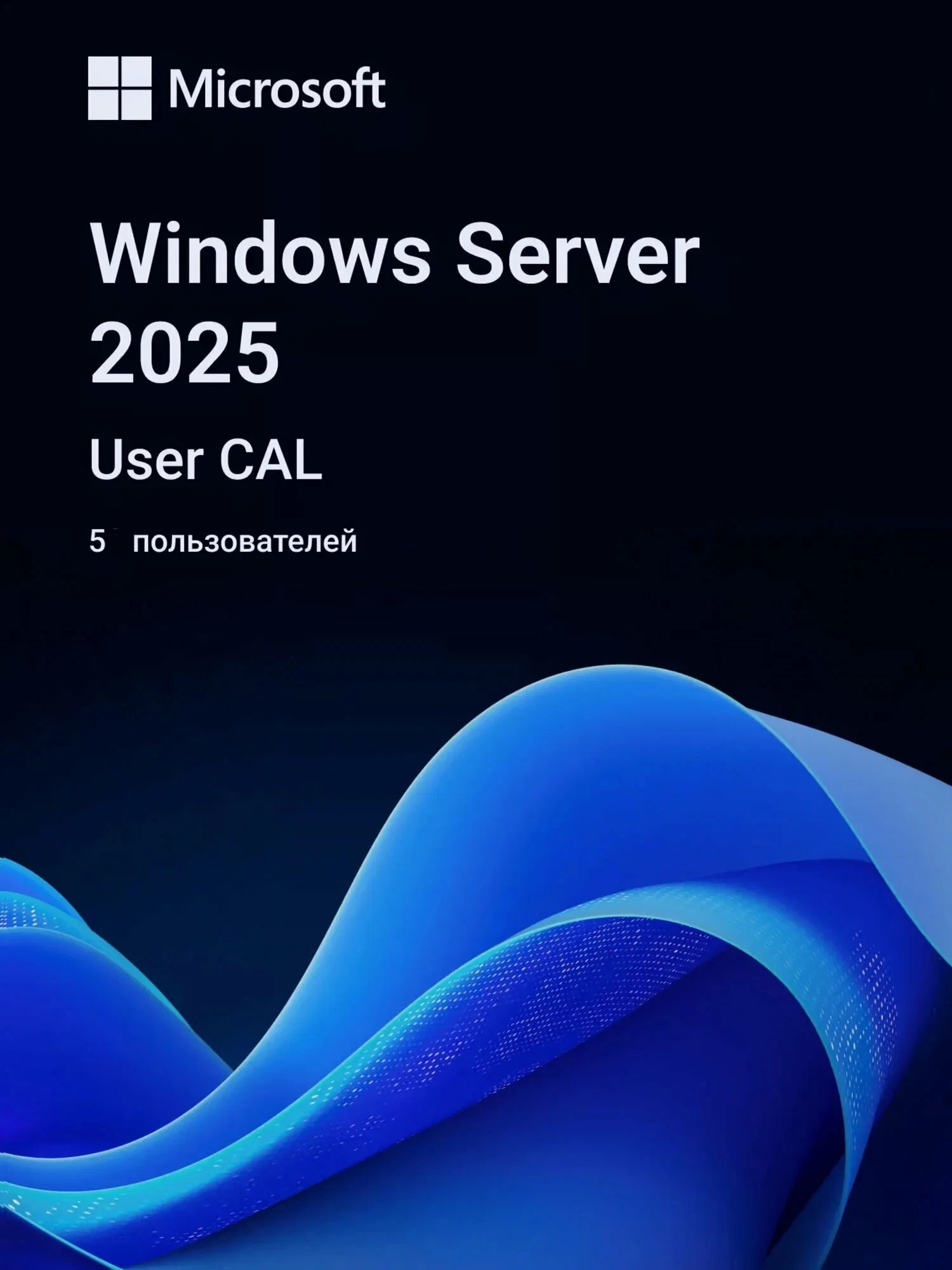 Лицензия Microsoft Windows Server CAL 2025, 5 шт., OEM, EP2-25279