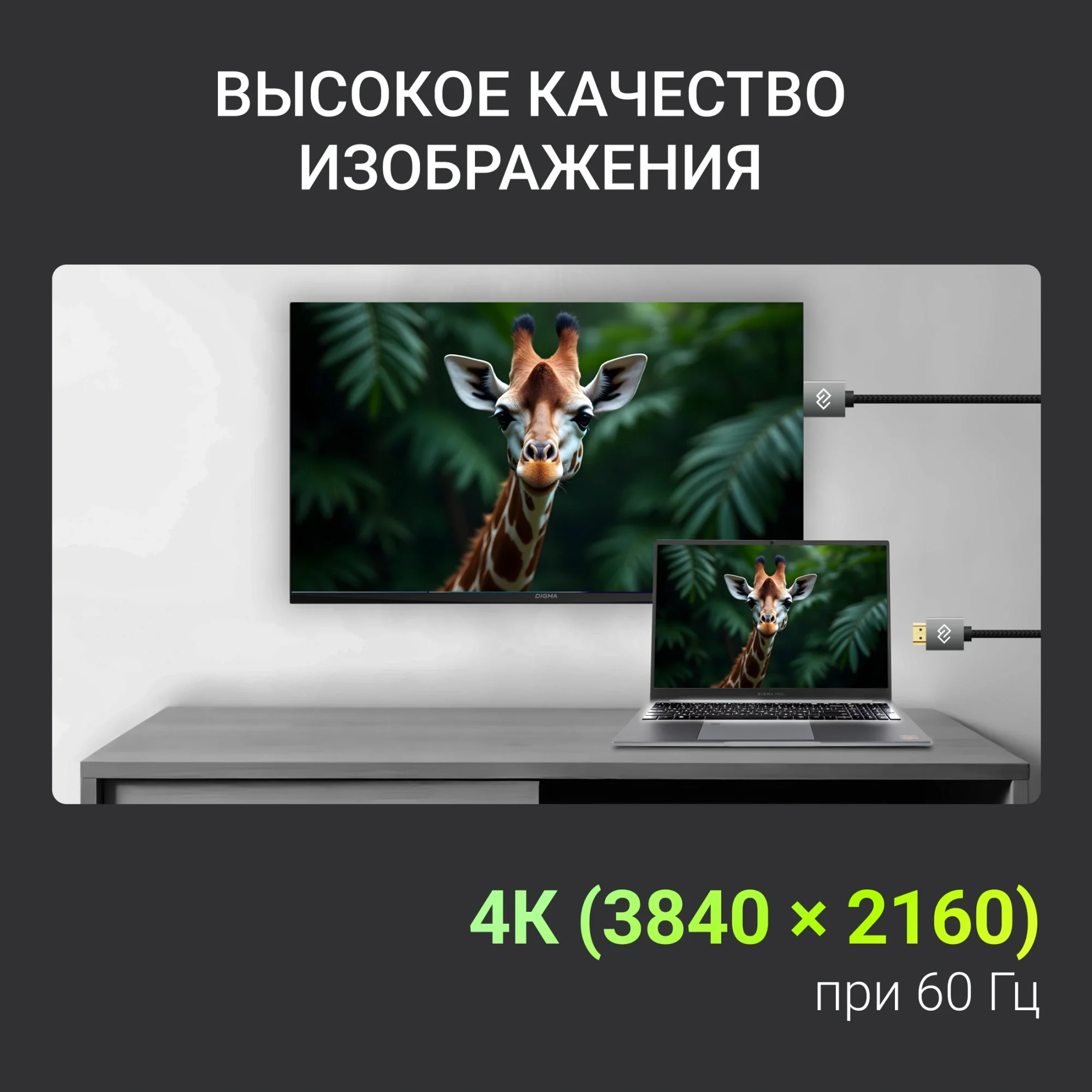 Кабель аудио-видео Digma HDMI (m)/HDMI (m) 5м. феррит.кольца позолоч.конт. черный (D-HDMI-2FF-V2.0-5M)