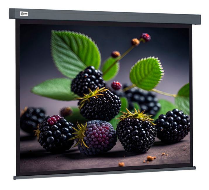 Экран Cactus 127x127см Wallscreen CS-PSW-127X127-SG 1:1  настенно-потолочный рулонный серый
