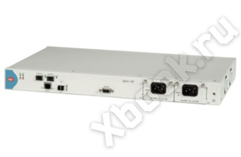 Шлюз RAD для агрегации трафика EGATE-100/48/NULL/NULL/NULL/FULL