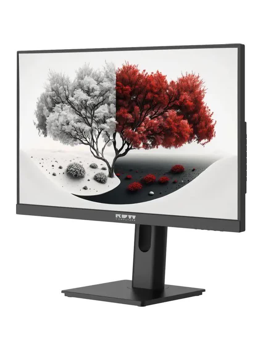 2401K/F08B0100V2A1A RDW Computers 23.8" RDW2401K черный IPS 4ms HDMI M/M HAS Piv 350cd 178гр/178гр  1920x1080  VGA  DP FHD