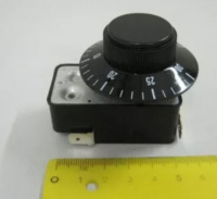 Таймер GAM для B RG100379