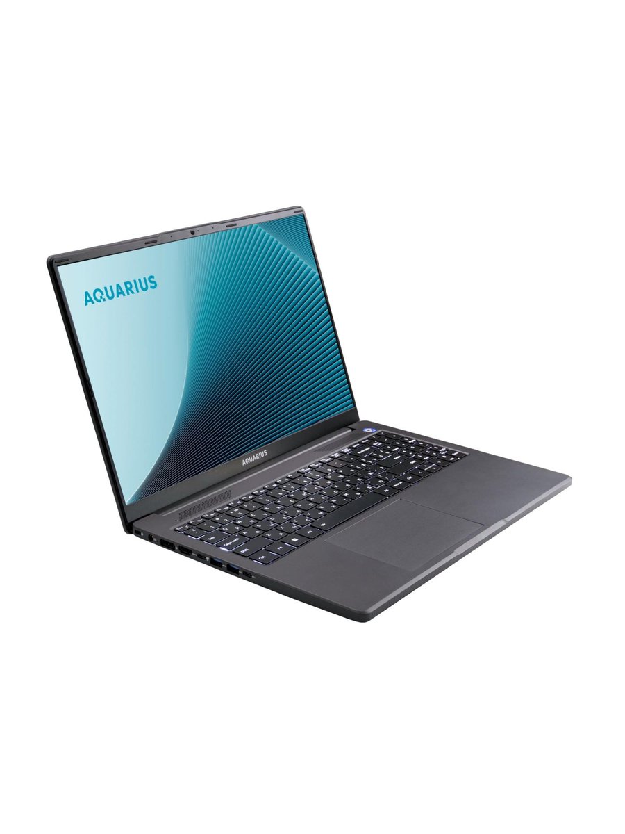 Ноутбук AQUARIUS Cmp NE356, 16" (1920x1200) IPS/AMD Ryzen 5 6600H/8 ГБ DDR5/256 ГБ SSD/AMD Radeon Graphics/Без системы, Серый (NE356153318S125SCN2TMANNN2)