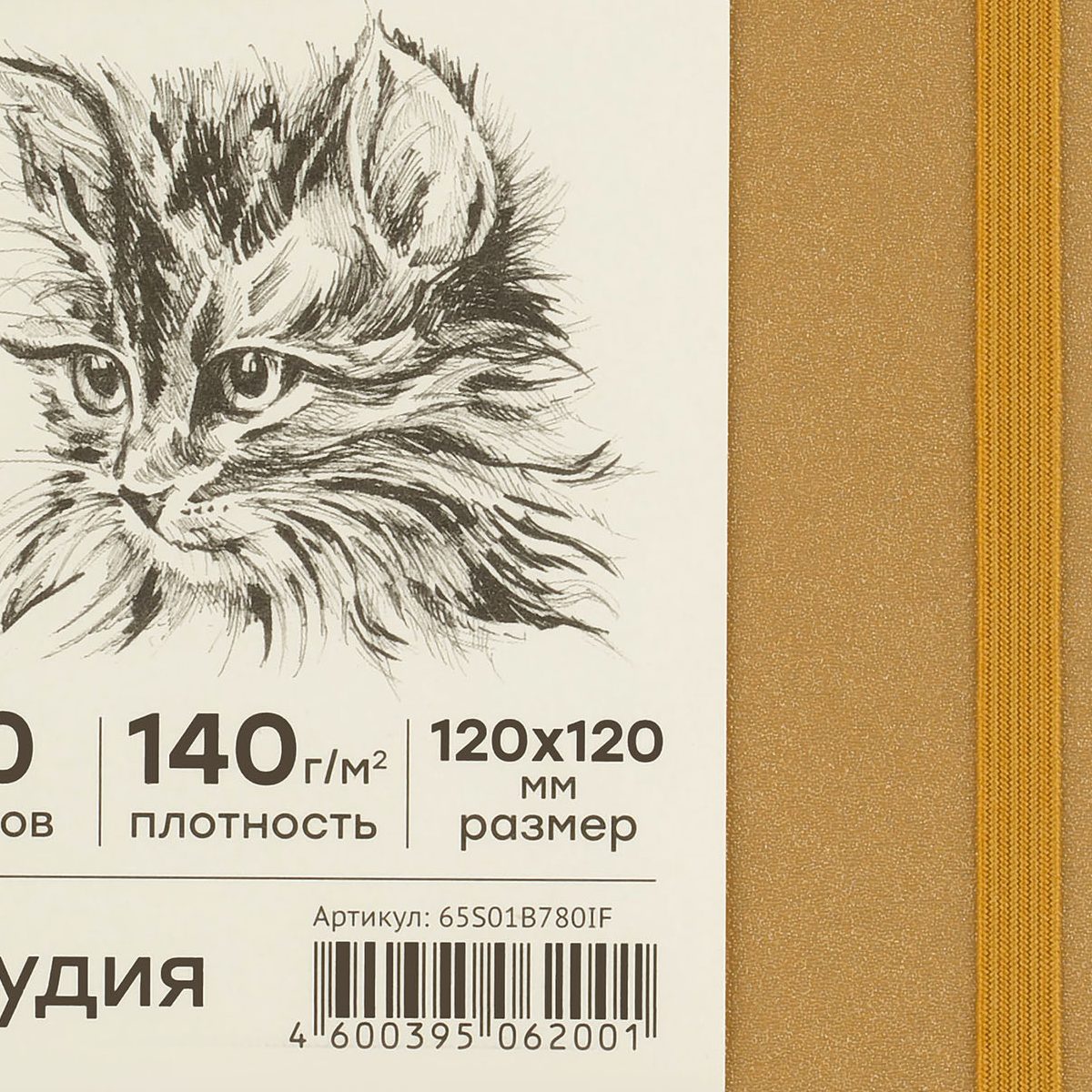 Блокнот для зарисовок 120x120мм, 80л Гамма "Студия" (120 г/кв.м, золото, твердая обложка, на резинке, слоновая кость) (65S01B780IF)