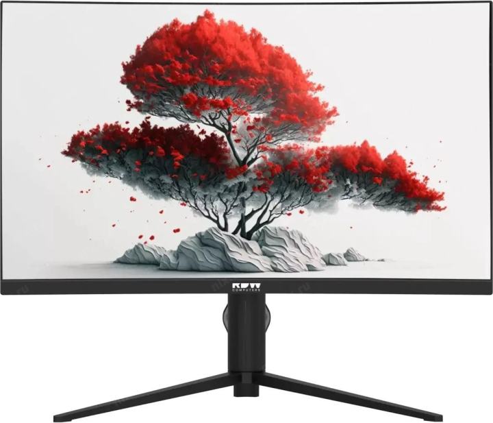 Монитор RDW Computers 27" RDW2706C (Q03В375V2A1) черный VA 5ms 16:9 HDMI M/M матовая HAS Piv  4000:1  300cd  178гр/178гр 2