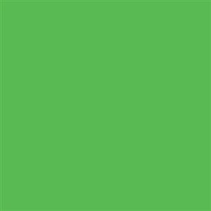 Фон пластиковый зеленый хромакей 100x130 см SR Colormatt Spring Green