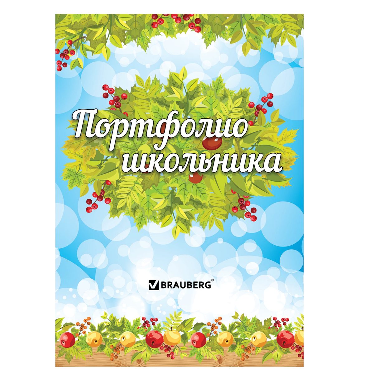 Папка-портфолио Brauberg 126896, А4, 16 листов