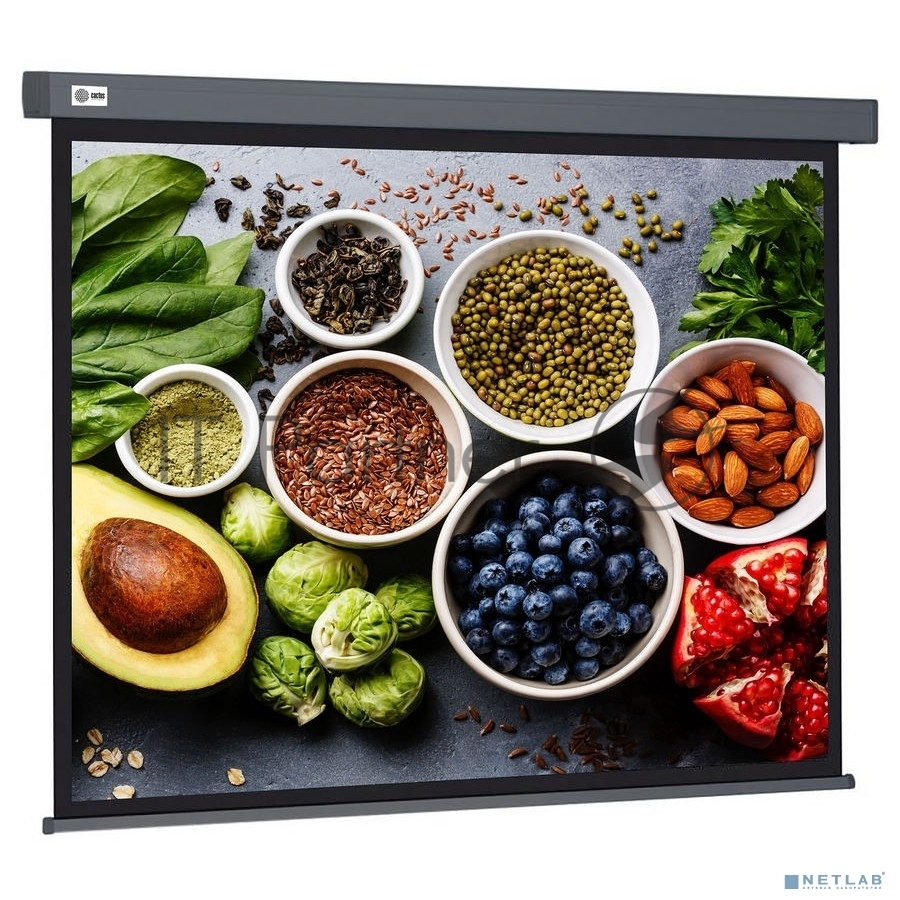 Экран Cactus 150x150 см Wallscreen CS-PSW-150X150-SG 1:1 настенно-потолочный рулонный серый