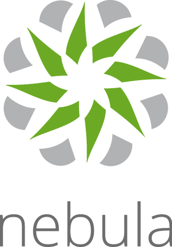 Лицензия Zyxel Nebula Pro Pack для одного устройства на 1 год