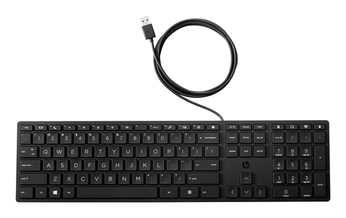 Клавиатура Keyboard HP Wired Desktop 320K black (Halley) - RUSS