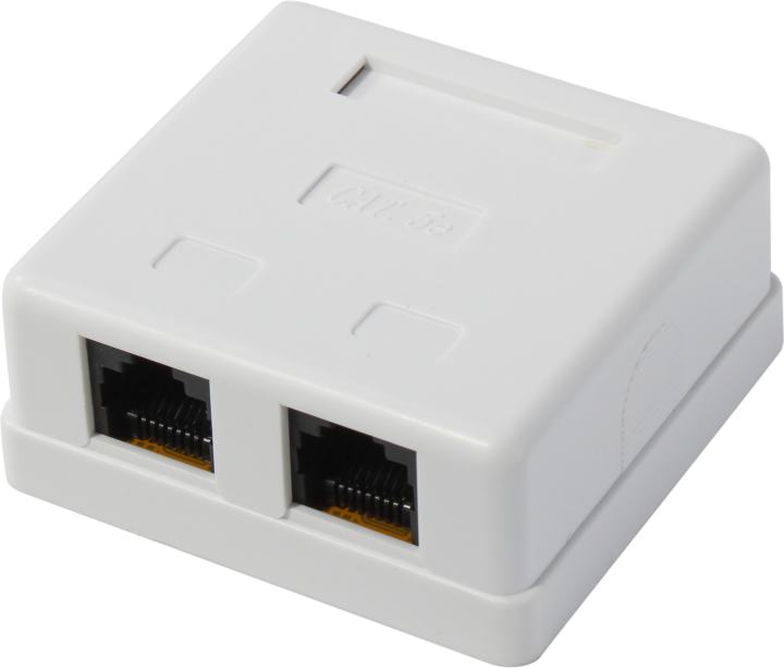 Exegate SM2-RJ45-C5 <EX292843RUS> Розетка внешняя  двойная RJ-45 кат.5e