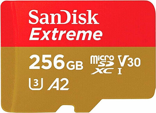 Карта памяти SanDisk Sdsqxbz-256G-GN6MA