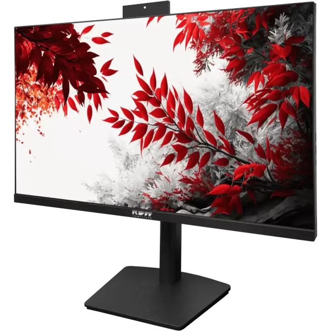 Монитор RDW Computers 23.8" RDW 2402K черный IPS 4ms HDMI M/M Cam HAS Piv 300cd 178гр/178гр 1920x1080 100Hz VGA DP USB (RUS)
