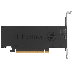 Видеокарта NVIDIA RTX PRO 2000 Blackwell, 16 GB GDDR7, 128 bit, 4xMini DisplayPort, GPU 982 MHz