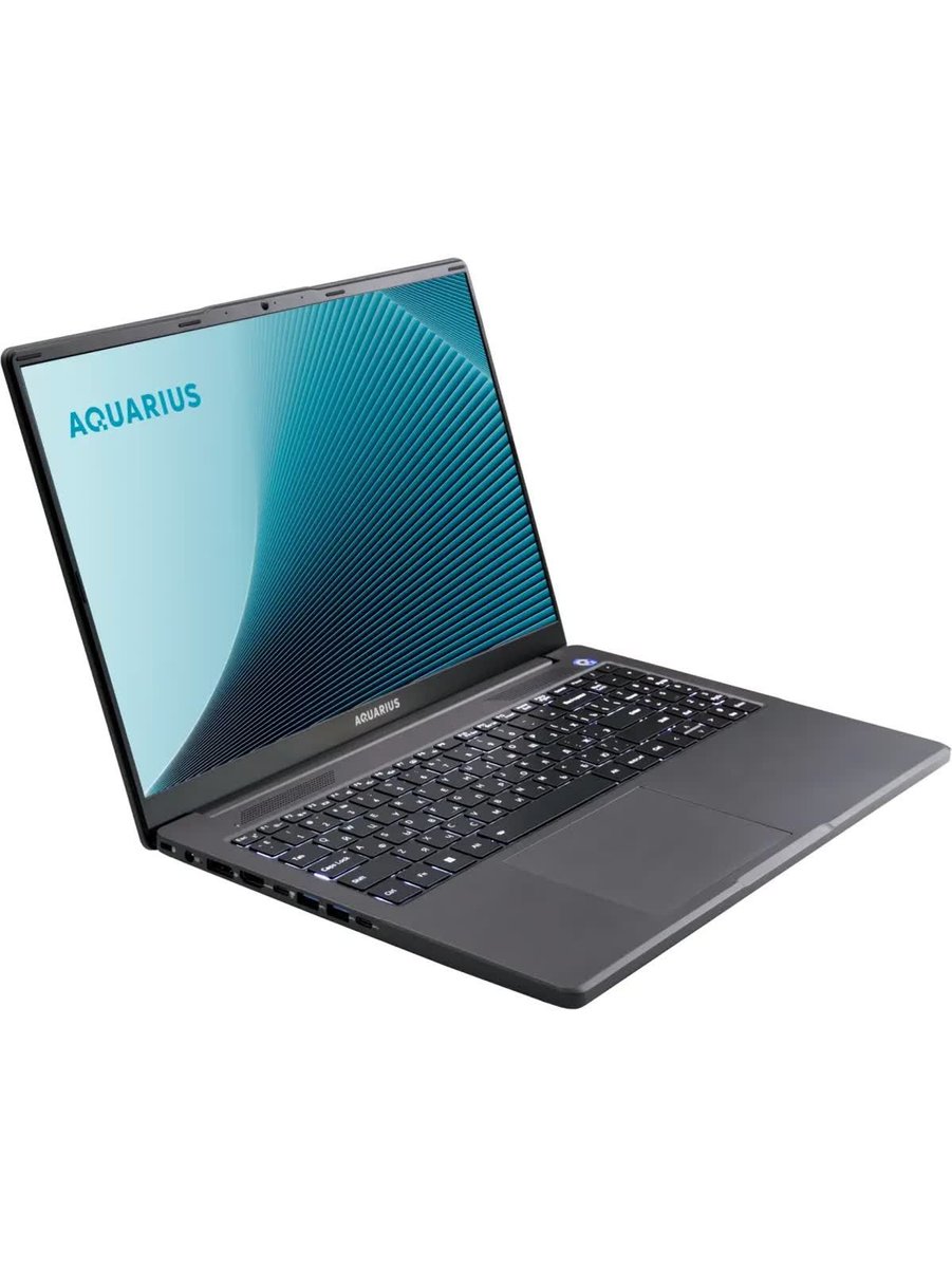 Ноутбук AQUARIUS Cmp NE356, 16" (1920x1200) IPS/AMD Ryzen 5 6600H/8 ГБ DDR5/256 ГБ SSD/AMD Radeon Graphics/Без системы, Серый (NE356153318S125SCN2TNNNNN2)