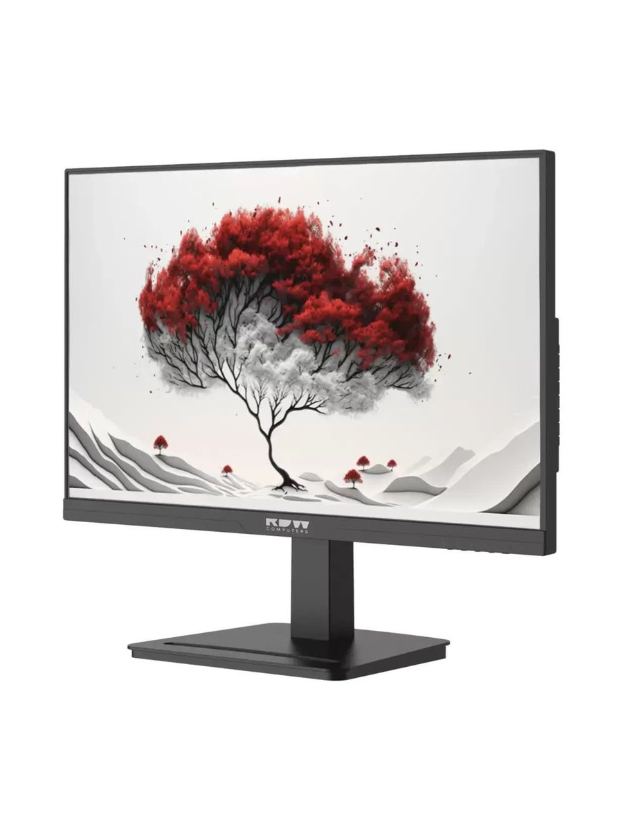 Монитор RDW Computers 2401K/F00B3120V2A1B, 23.8", FHD, IPS, 120 Гц, 1 мс