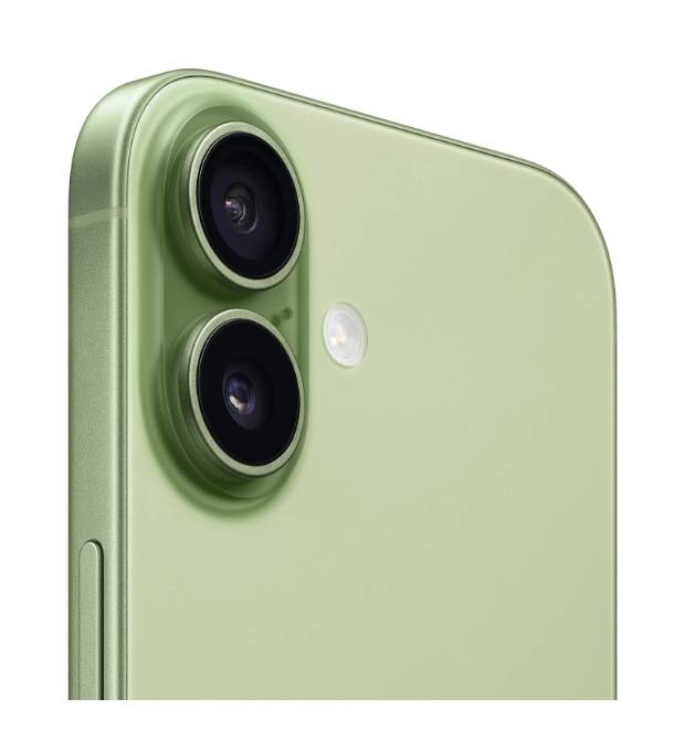 Apple Мобильный телефон IPHONE 17 256GB MG6C4J/A SAGE APPLE