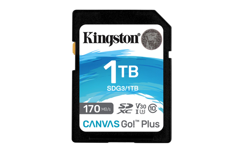 Флеш карта Kingston 1Tb SDXC Canvas Go Plus 170R C10 UHS-I U3 V30/Kingston 1Tb SDXC Canvas Go Plus 170R C10 UHS-I U3 V30