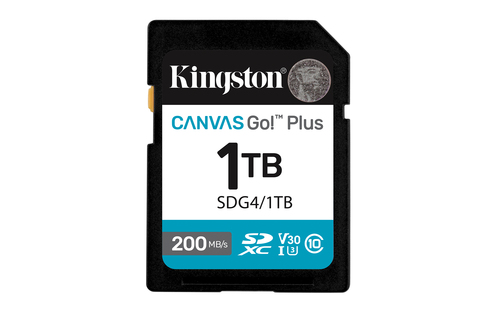 Карта памяти Kingston 1TB SDXC Canvas Go Plus 1TB SDXC Canvas Go Plus Gen4 200MB/s C10 UHS-I U3 V30/ Kingston  1TB SDXC Canvas Go Plus Gen4 200MB/s C10 UHS-I U3 V30