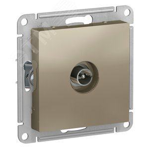 Розетка Schneider Electric ATN000593, TV антенна, коннектор, шампань