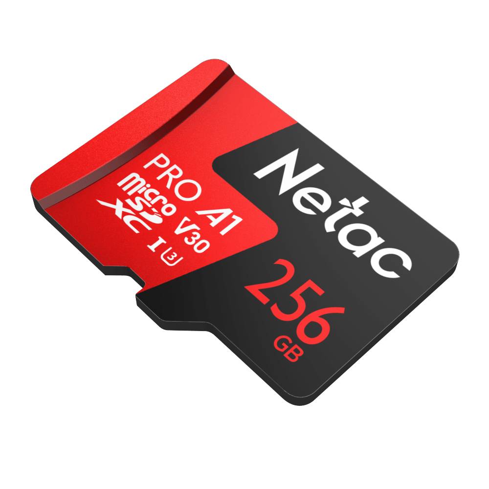 Netac Pro microSDXC NT02P500PRO-256G-S 256GB A1 V30 U3 C10