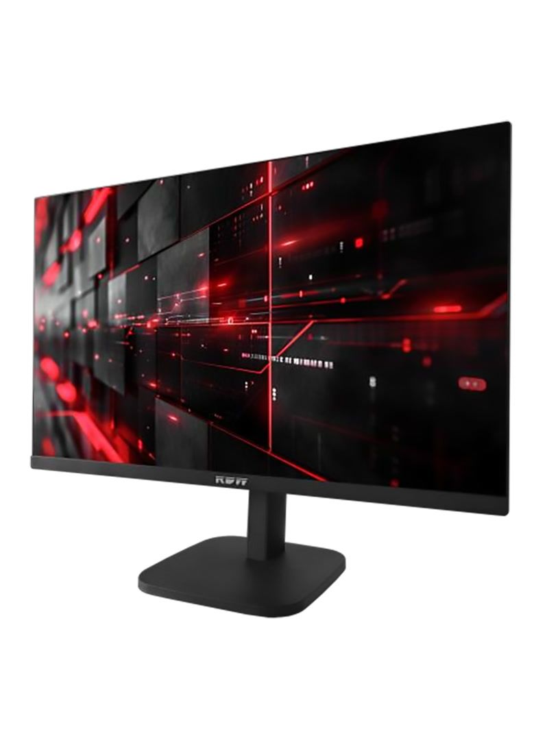 Монитор RDW Computers 2707K/F29B3120V2A1B, 27.9", IPS, 1920x1080, 120Гц
