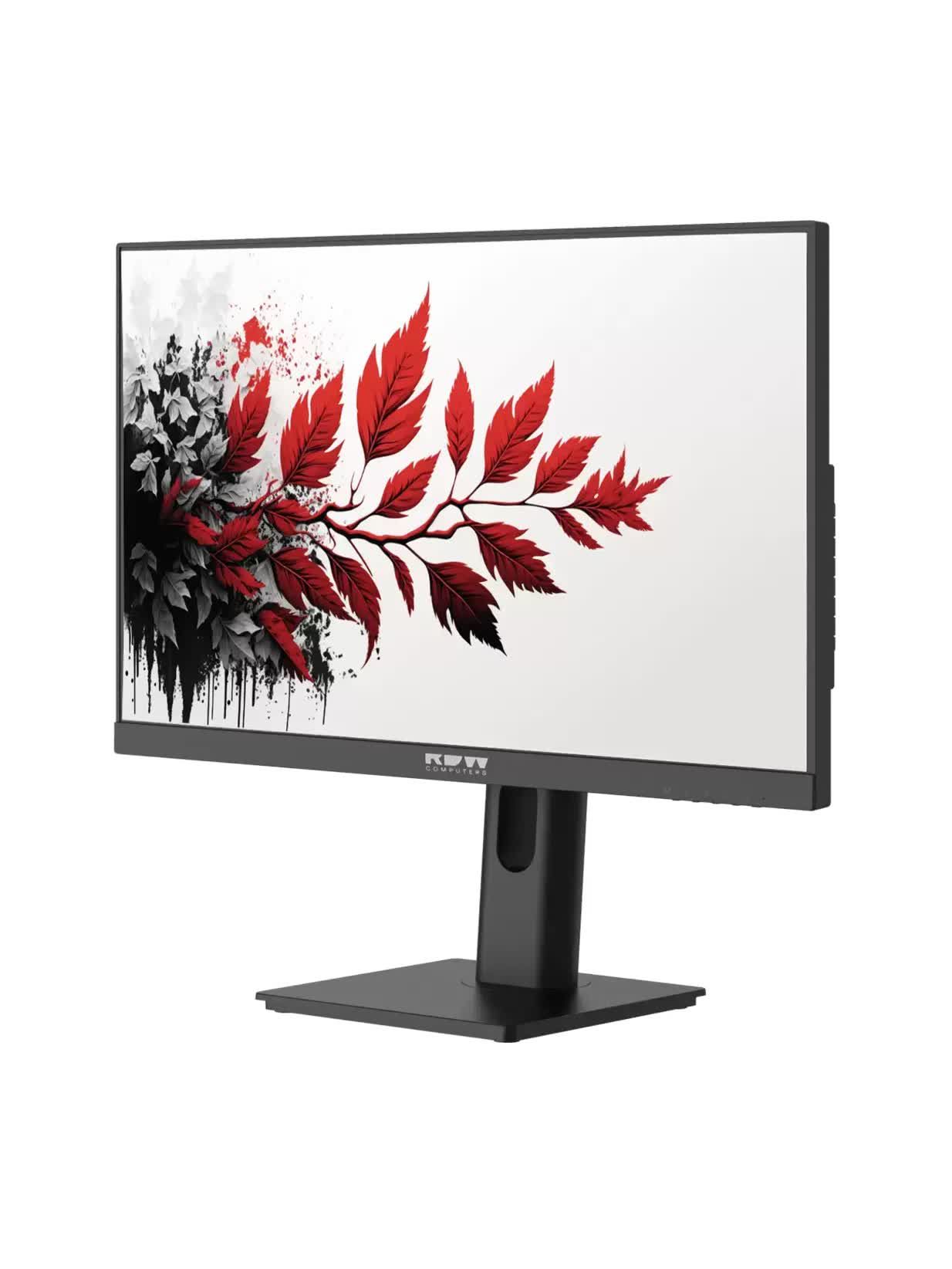 Монитор RDW Computers 27" RDW2701K черный IPS 1ms HDMI M/M 350cd 178гр/178гр 2540x1440 100Hz DP QHD USB 5.350кг (RUS)