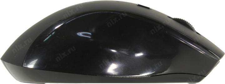 Defender Accura Wireless Optical Mouse <MM-295> (RTL)  USB 6btn+Roll <52295>