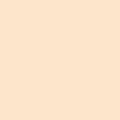 Фон бумажный FST 2,72х11 NEW WHEAT №1015