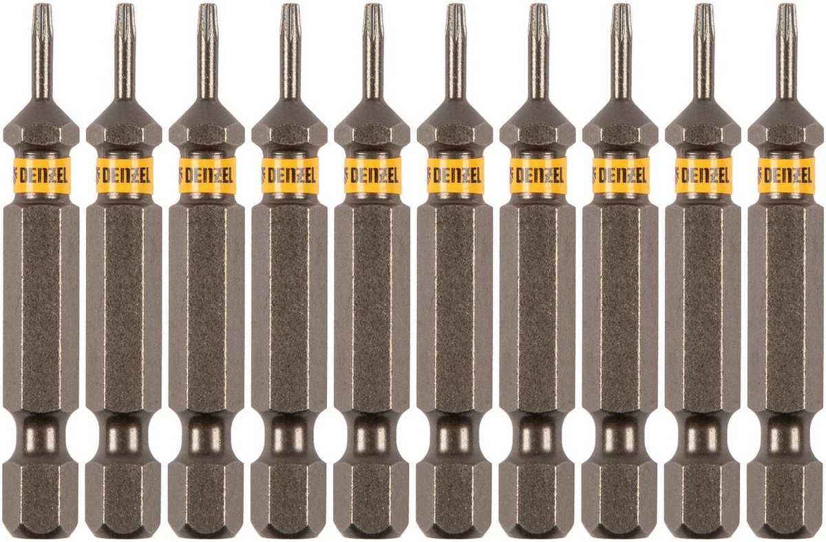 Набор бит Denzel 11665, TORX, 6×50мм, сталь S2, 10шт