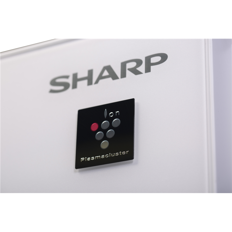 Sharp SJ-GX98PWH