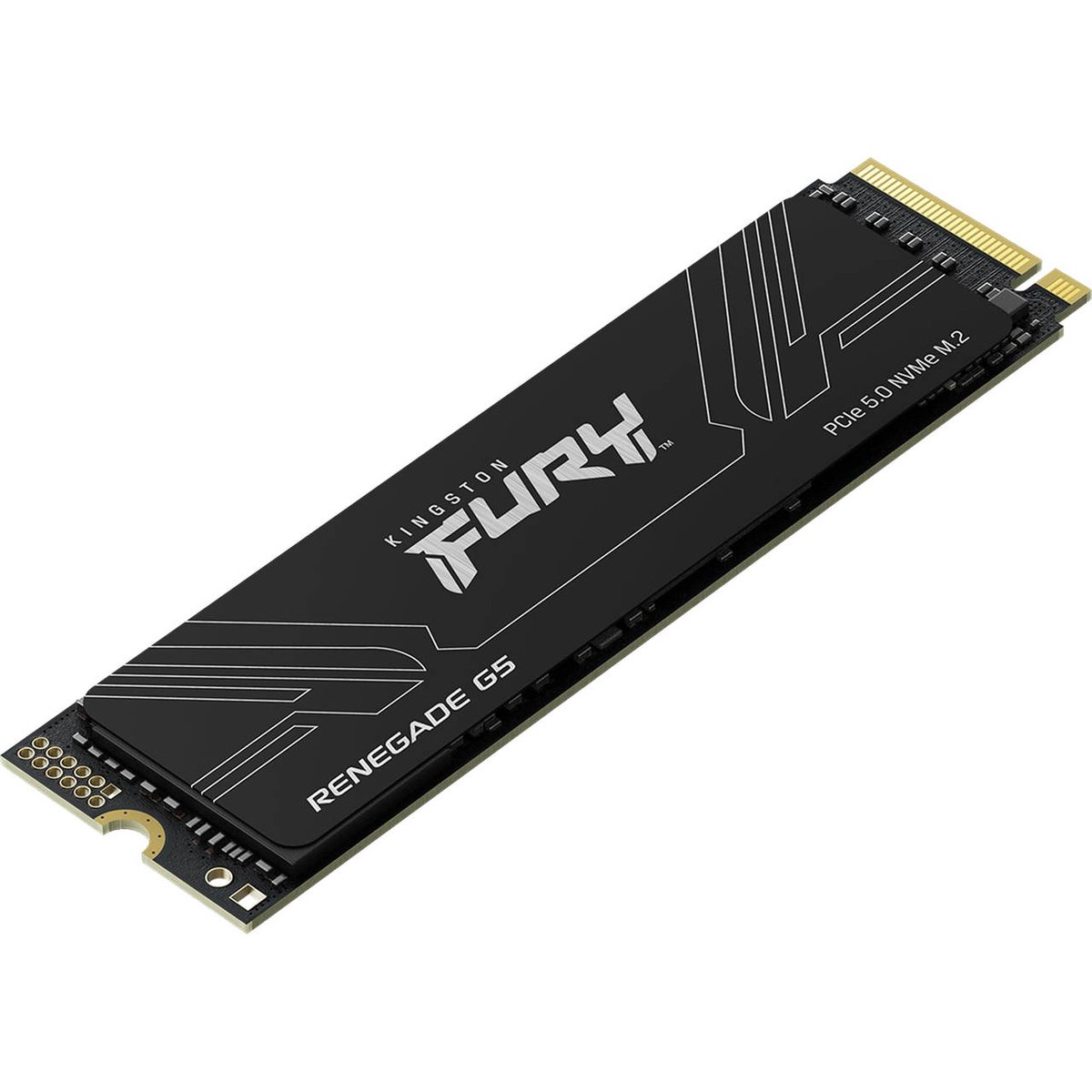 Kingston Fury Renegade SFYR2S/1T0