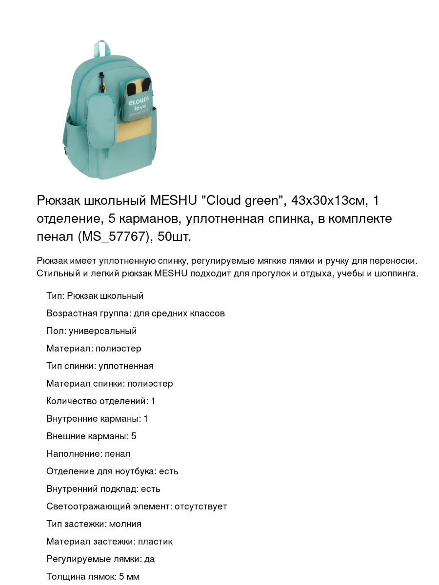 Рюкзак школьный MESHU "Cloud green", 43x30x13см, 1 отделение, 5 карманов, уплотненная спинка, в комплекте пенал (MS_57767), 50шт.