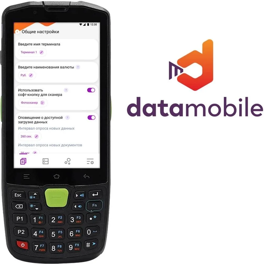 Программное обеспечение Datamobile DataMobile Стандарт LifeTime