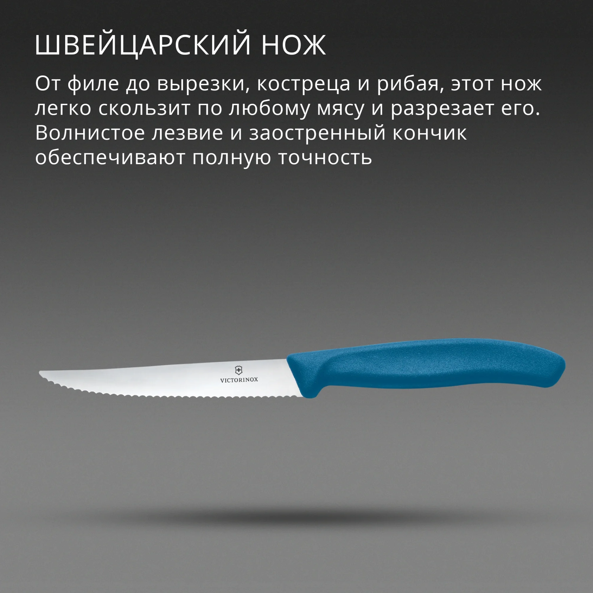 Нож кухонный Victorinox Swiss Classic 6.7232.C1 стальной универсальный для стейка/пиццы лезв.110мм серрейт. заточка синий