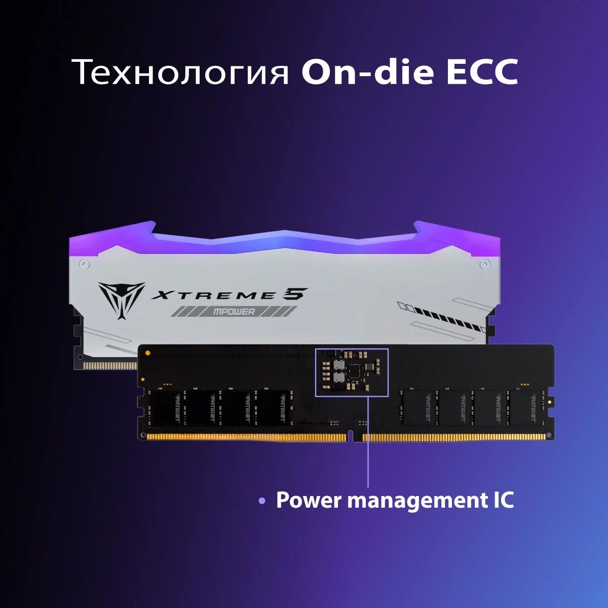 Память DDR5 2x16GB 6400MHz Patriot PVXR532G64C32KM Viper Xtreme 5 RGB RTL Gaming PC5-51200 CL32 DIMM 288-pin 1.4В с радиатором Ret