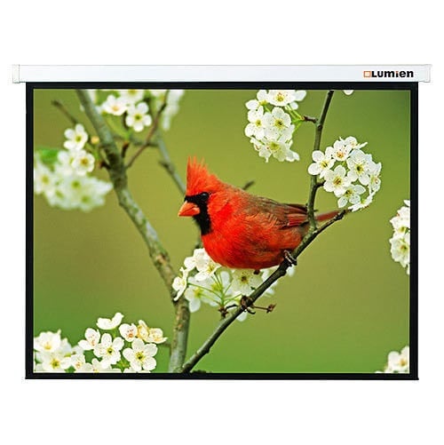 [LMP-100108] Настенный экран Lumien [Master Picture] 128х171 см (раб.область 122х165 см) (81") Matte White FiberGlass (белый корпус) черн. кайма по периметру, возможность потолочн./настенного крепления 4:3